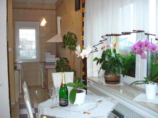 Goscinne Irga Apartment Starogard Gdanski